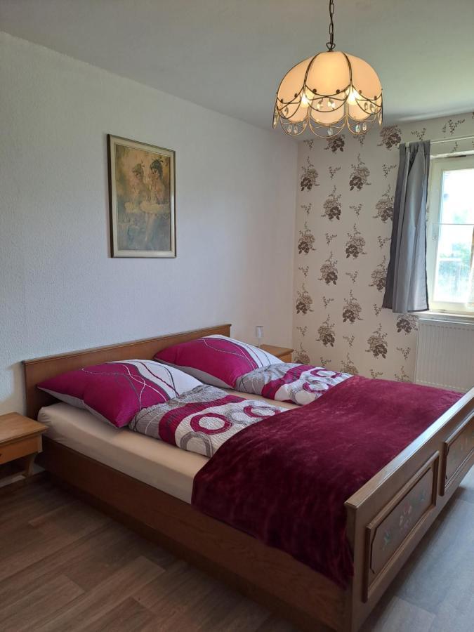 Keller'S Ferienwohnung An Der Saale Schwarzenbach an der Saale Exteriör bild